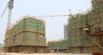 隆基泰和紫金府精品住宅建設(shè)工程施工進度一覽